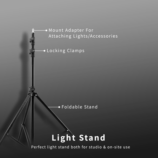 Light Stand