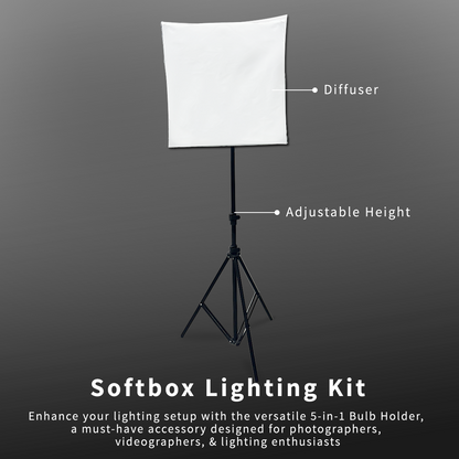 Professional Softbox Lighting Kit