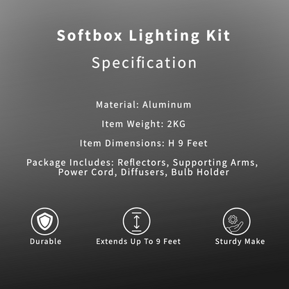 Professional Softbox Lighting Kit